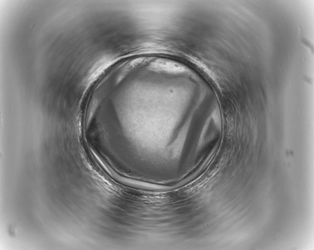 X0000093731415200710301035