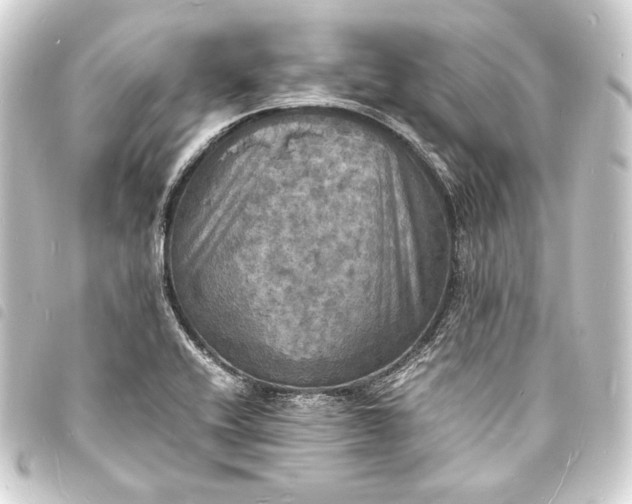X0000093731416200710301035