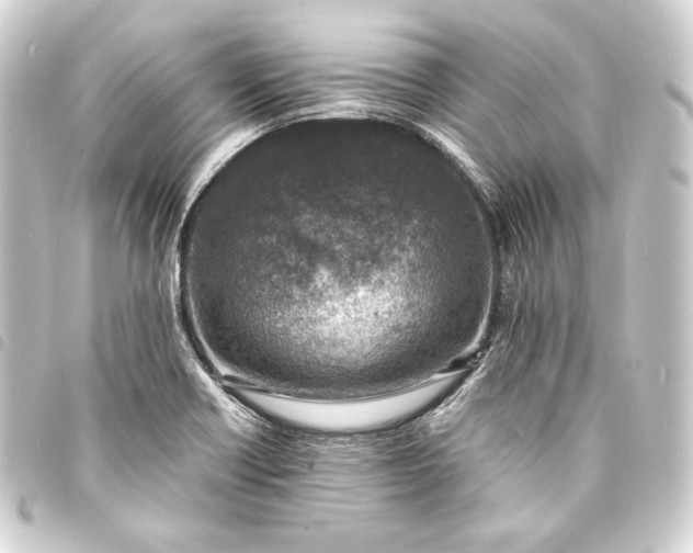 X0000093731418200710301035