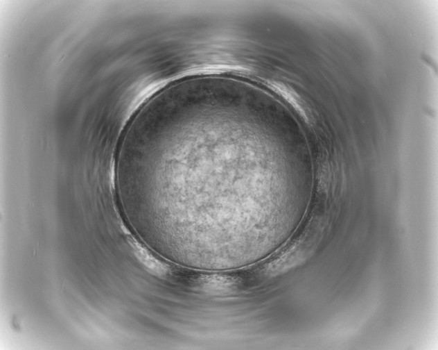 X0000093731420200710301035