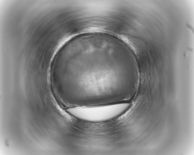 X0000093731421200710301035
