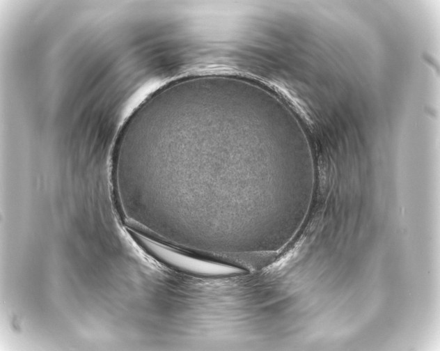 X0000093731422200710301035