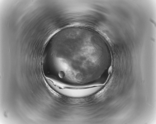 X0000093731425200710301035