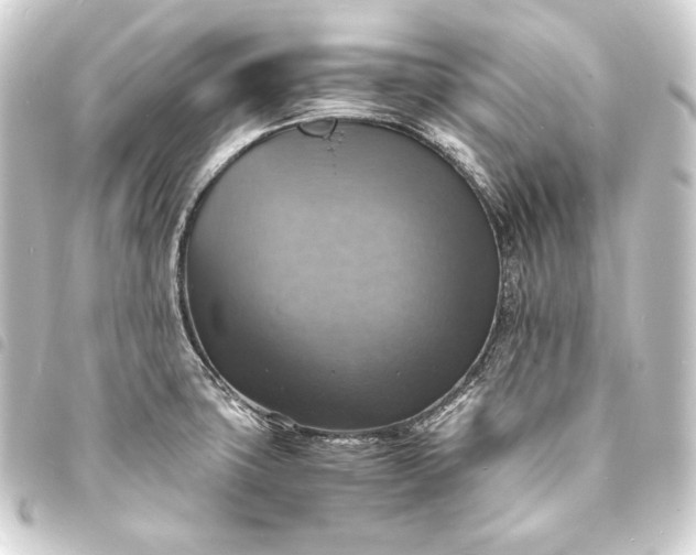 X0000093731427200710301035