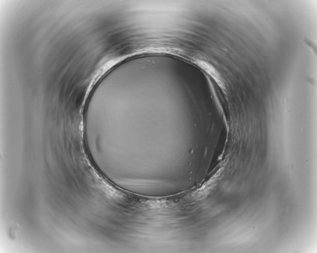 X0000093731428200710301035