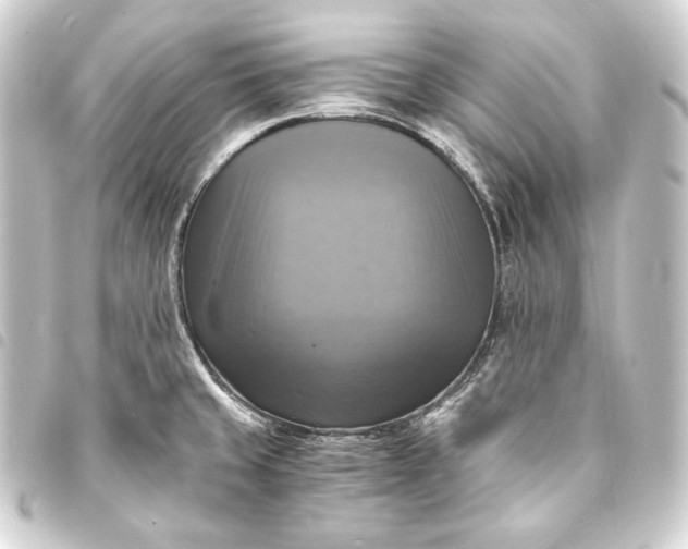 X0000093731429200710301035