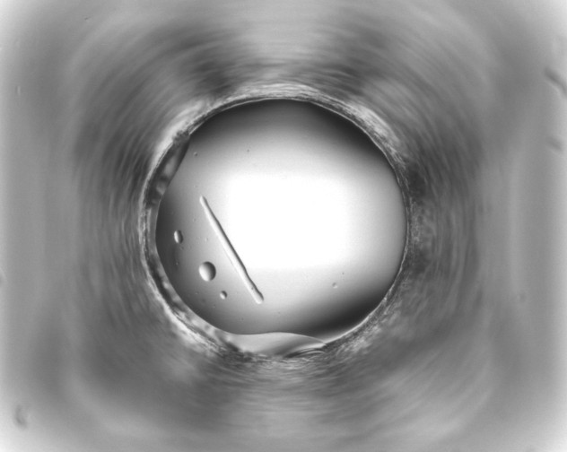 X0000093731430200710301035