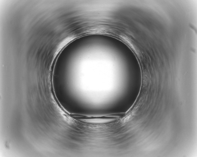 X0000093731434200710301035