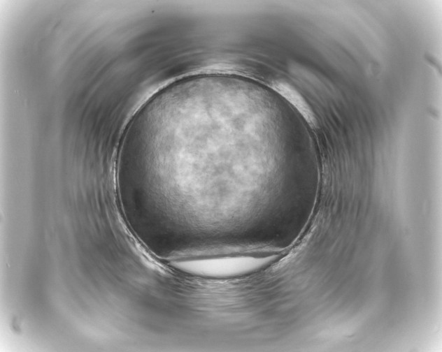 X0000093731436200710301035