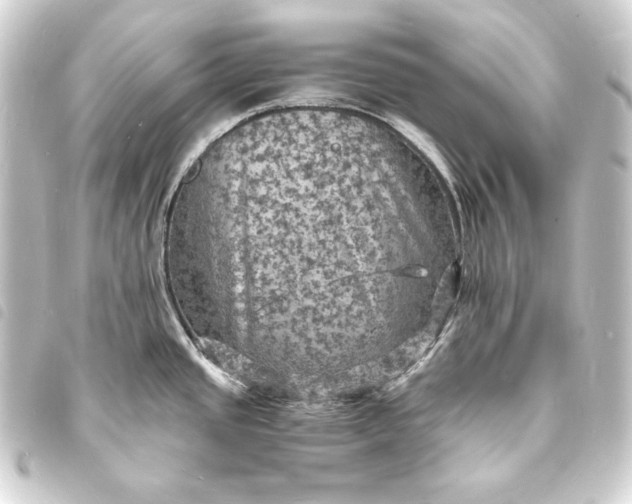X0000093731437200710301035