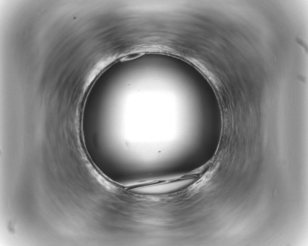 X0000093731438200710301035