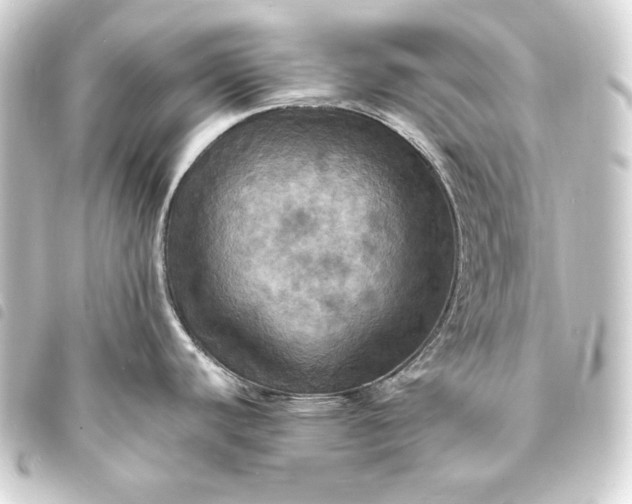 X0000093731440200710301035