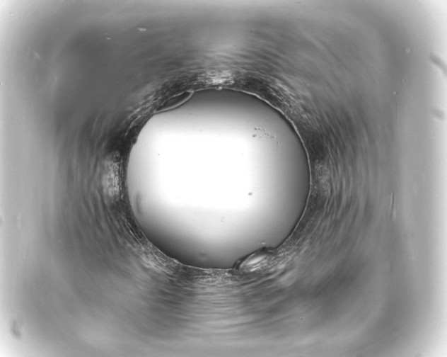 X0000093731442200710301035