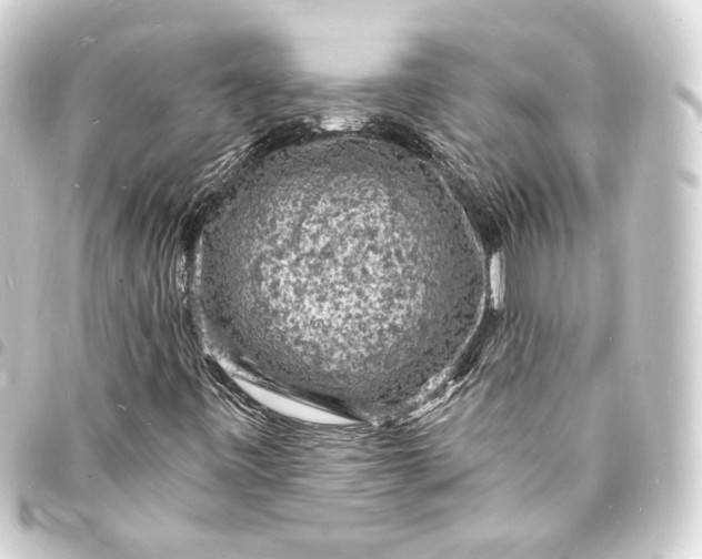 X0000093731443200710301035