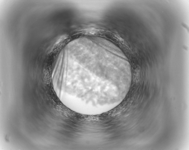 X0000093731446200710301035