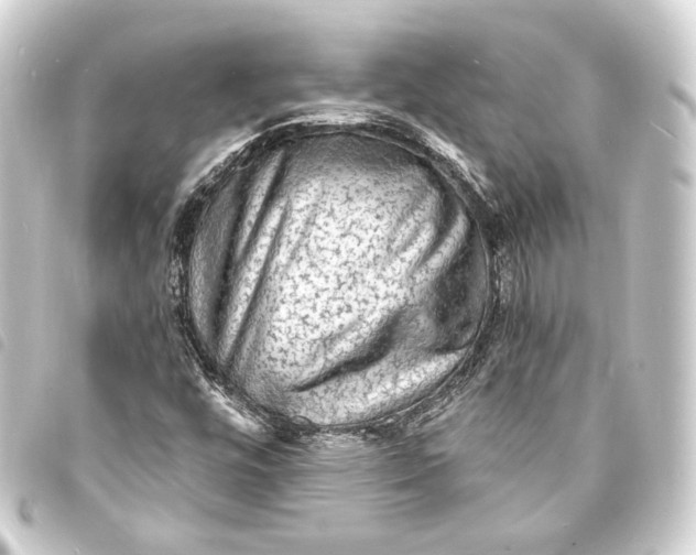 X0000093731448200710301035