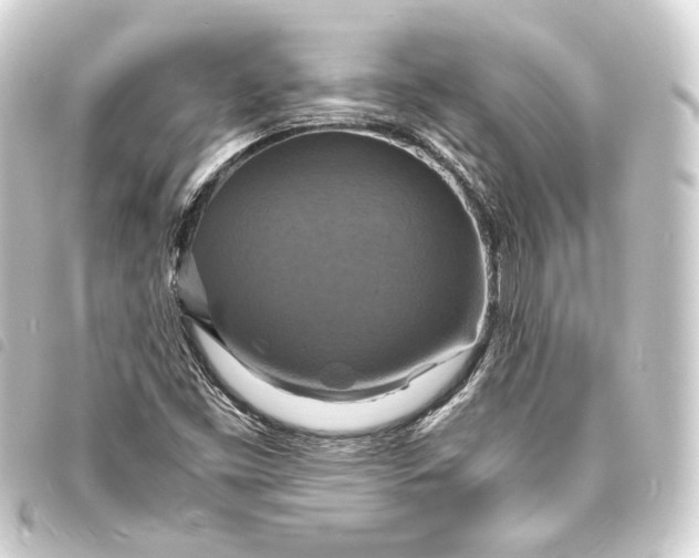 X0000093731453200710301035