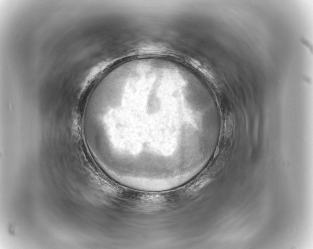 X0000093731454200710301035