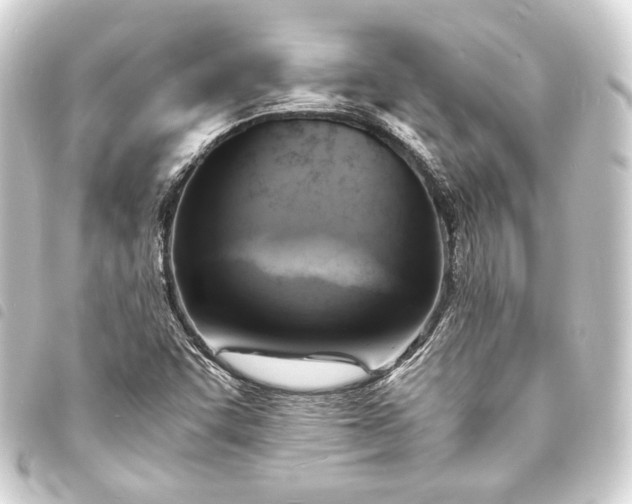 X0000093731455200710301035
