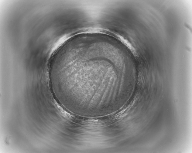 X0000093731456200710301035
