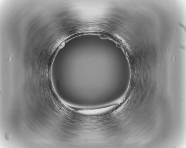 X0000093731457200710301035