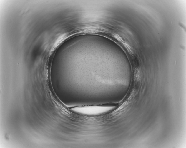 X0000093731459200710301035