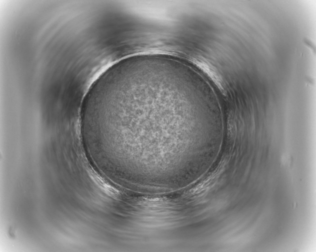 X0000093731460200710301035