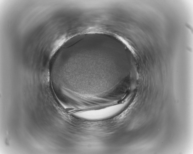X0000093731461200710301035