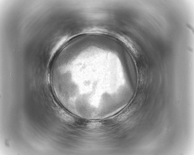 X0000093731462200710301035
