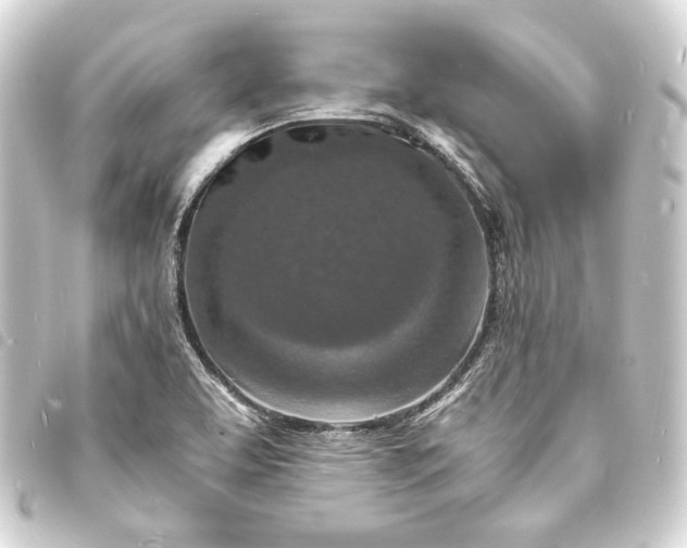 X0000093731463200710301035