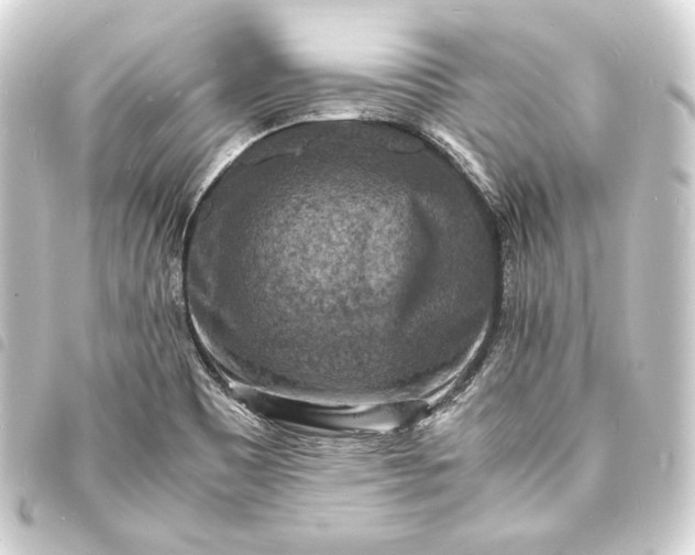 X0000093731465200710301034