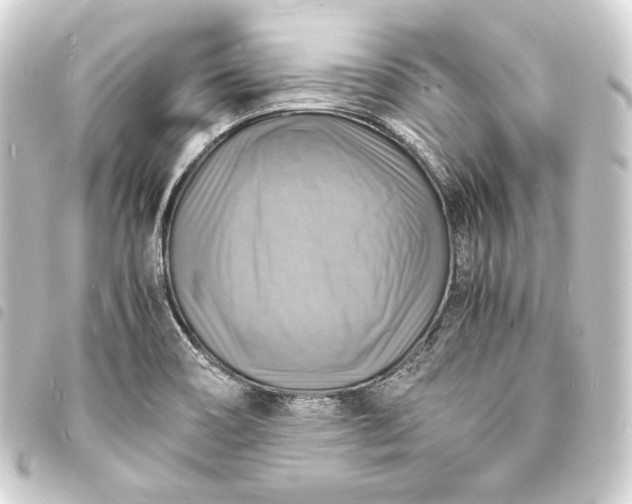 X0000093731466200710301034