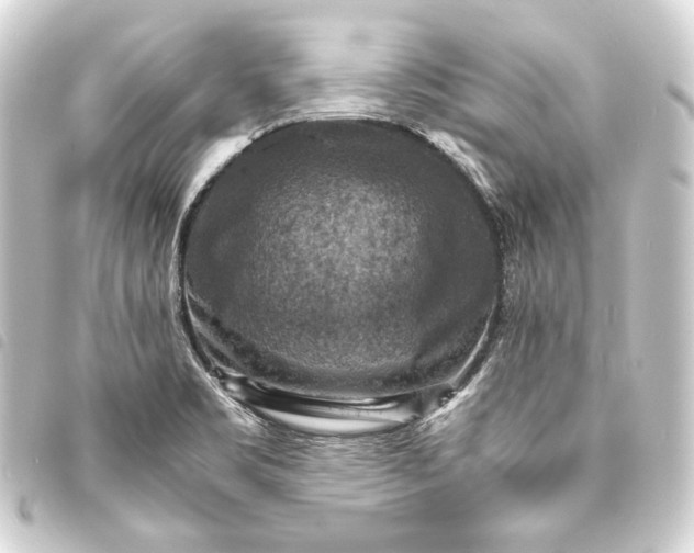 X0000093731469200710301034