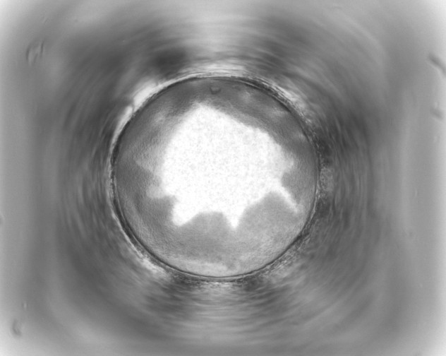 X0000093731470200710301034