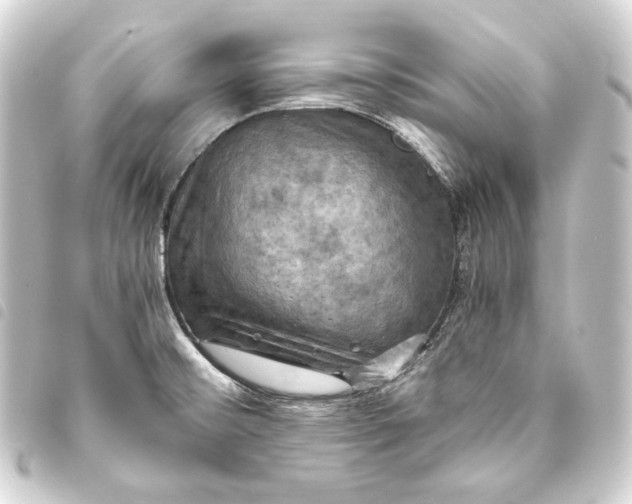 X0000093731476200710301034