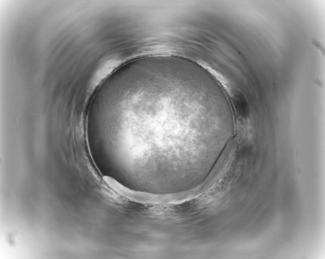 X0000093731477200710301034