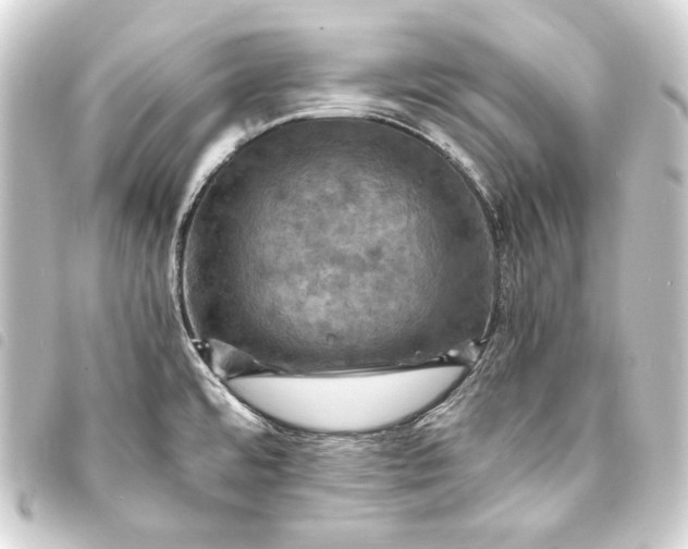 X0000093731480200710301034