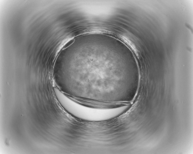 X0000093731481200710301034