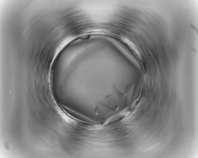 X0000093731482200710301034