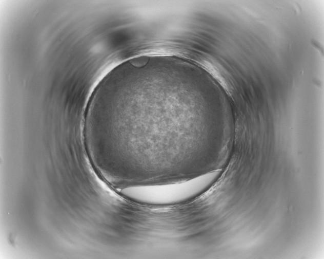 X0000093731484200710301034
