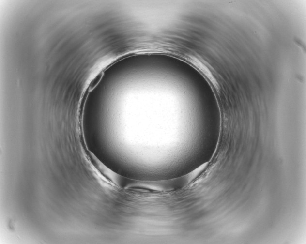 X0000093731485200710301034
