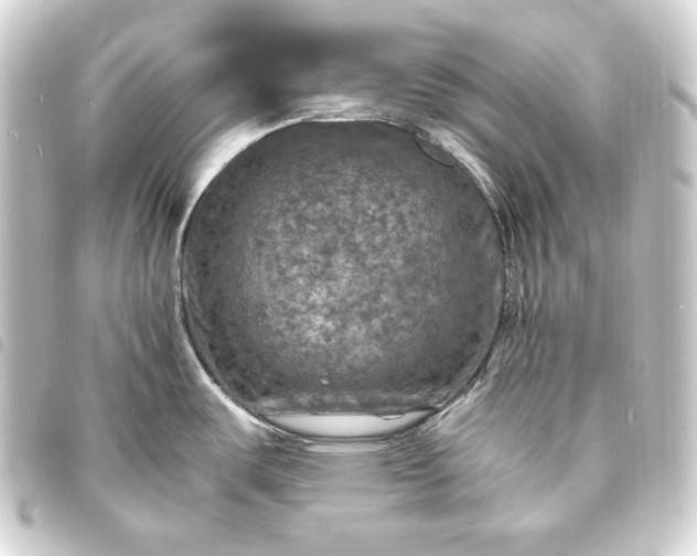 X0000093731487200710301034