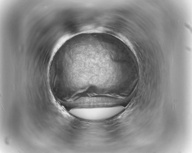 X0000093731488200710301034