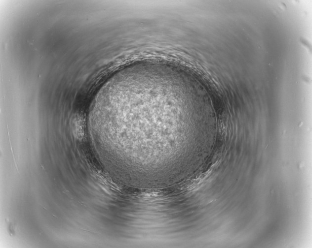 X0000093731490200710301034