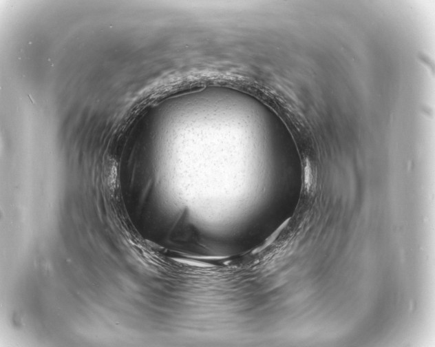 X0000093731492200710301034