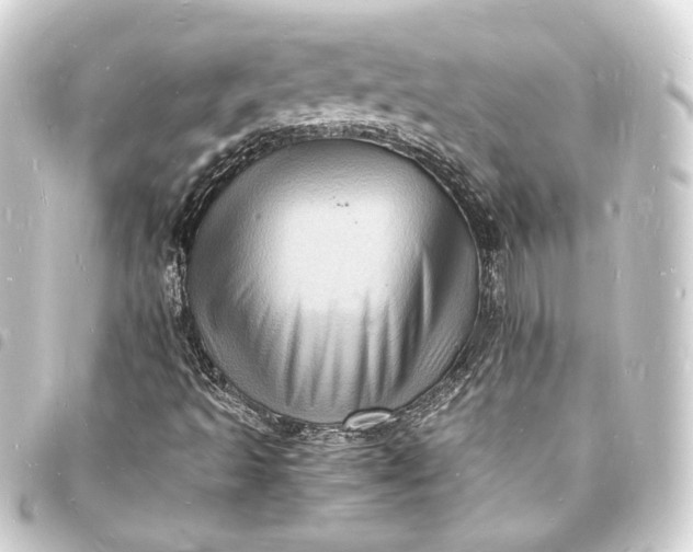 X0000093731493200710301034