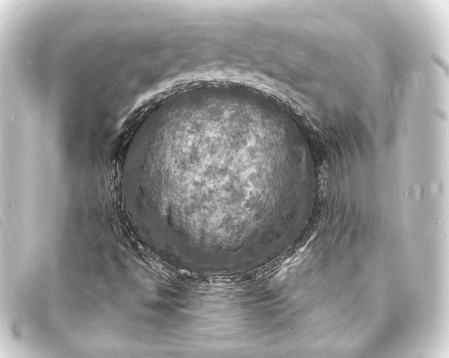 X0000093731494200710301034