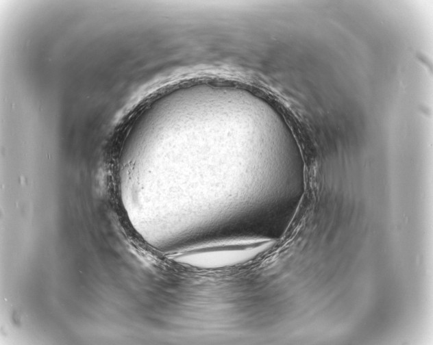 X0000093731496200710301034