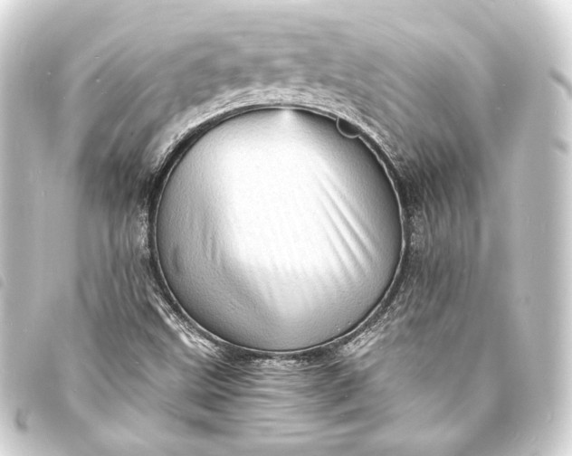 X0000093731499200710301034