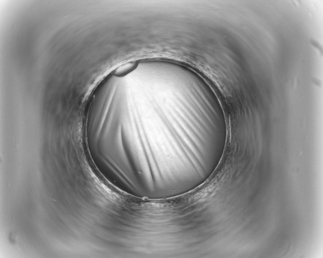 X0000093731500200710301034